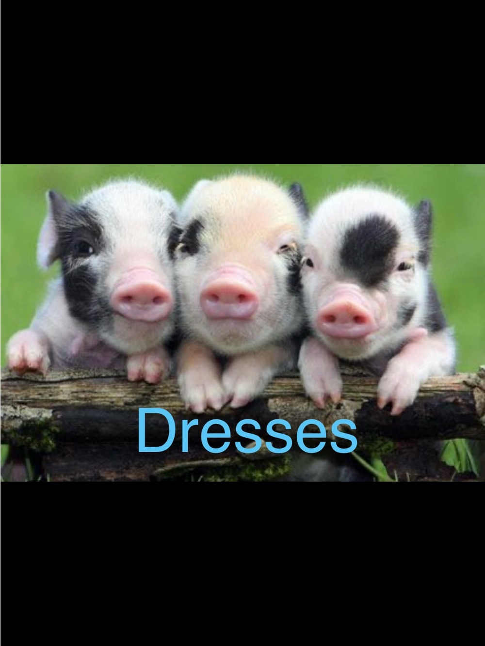 🐷 Ape’s Closet 🐷
